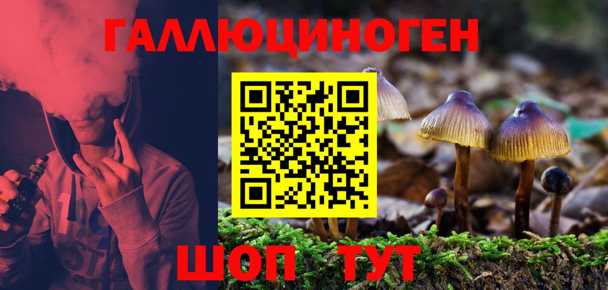 Кизляр  Галлюциногенные грибы прущие грибы  Вход с VPN  где продают наркотики  Псилоцибиновые грибы ЛСД 