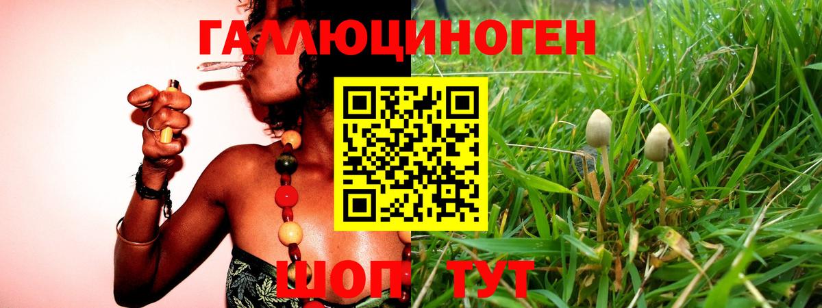 Галлюциногенные грибы MAGIC MUSHROOMS Кизляр